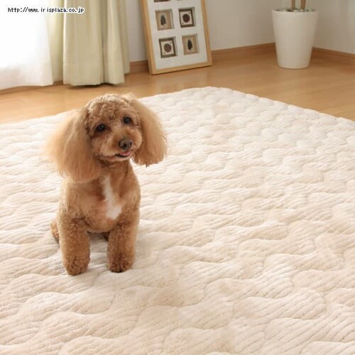 �q�[�g�v���X���O �y190�~190cm�z OHP-1919 �O���[���E�s���N�E�A�C�{���[�E�x�[�W���E�u���E���E�u���b�N_10