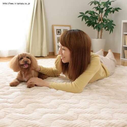 �q�[�g�v���X���O �y190�~190cm�z OHP-1919 �O���[���E�s���N�E�A�C�{���[�E�x�[�W���E�u���E���E�u���b�N_13