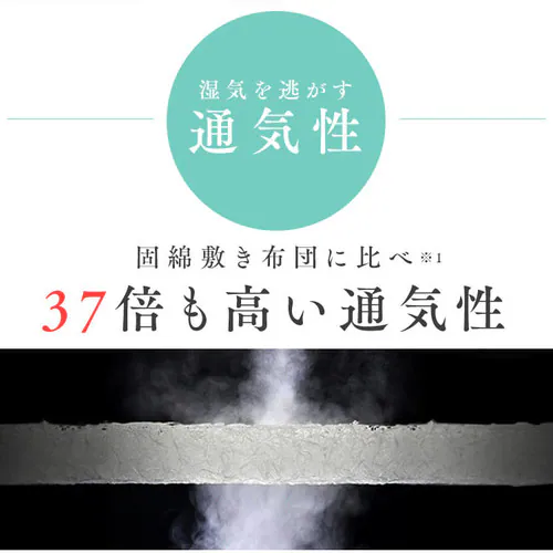 �G�A���[�v���X�}�b�g���X�@ARPM-D�@�_�u���y�G�߂ɍ��킹�ė��ʎg����J�o�[�z_14