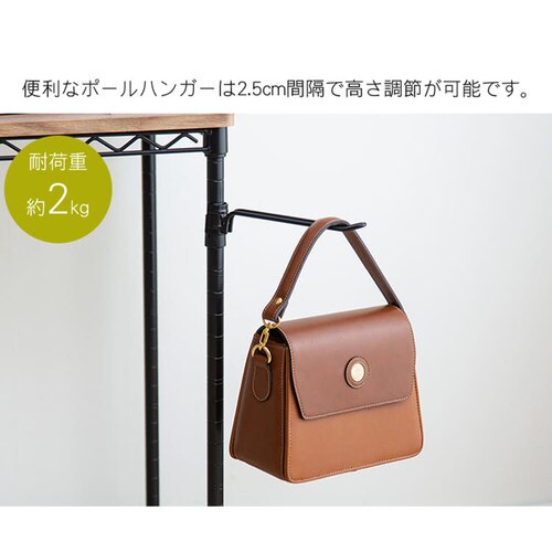 �J���[���^�����b�N ��81cm �f�X�N CMM-D81361 �u���E��_21