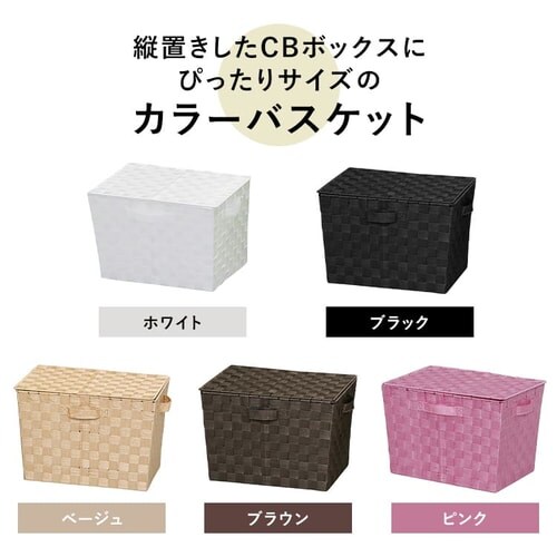 �y�[�^(�t�^�t)�z�J���[�o�X�P�b�g CBK-38DT �u���b�N_3