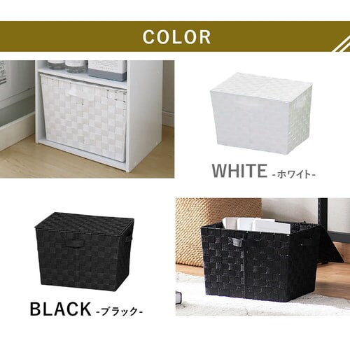 �y�[�^(�t�^�t)�z�J���[�o�X�P�b�g CBK-38DT �u���b�N_8