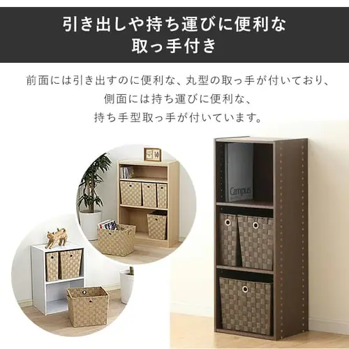 �J���[�o�X�P�b�g CBK-22D �S2�F_4