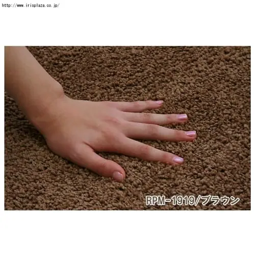 �y2.4��z�����\���O�J�[�y�b�g �y190�~190cm�z RPM-1919 �u���E��_5