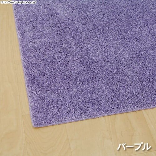 �y2.4��z�����\���O�J�[�y�b�g �y190�~190cm�z RPM-1919 �u���E��_9