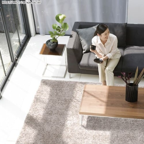 �y2.4��z�����\���O�J�[�y�b�g �y190�~190cm�z RPM-1919 �u���E��_14