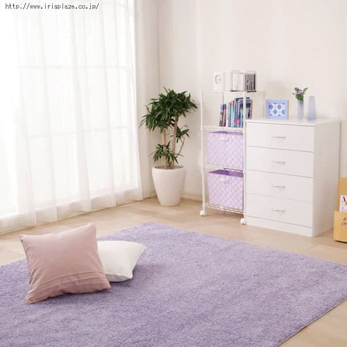 �y2.4��z�����\���O�J�[�y�b�g �y190�~190cm�z RPM-1919 �u���E��_19