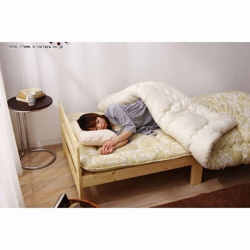 �z�������|���z�c�@FDRK-SD�@�Z�~�_�u���@�x�[�W���y���s����Ƃ̋������z_5