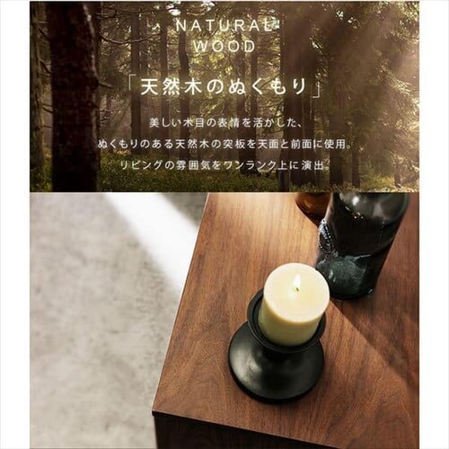 �y���ԑюw��s�z�e���r�� �{�b�N�X�^�C�v 125cm BTS-SD125U-N �i�`�������@_6