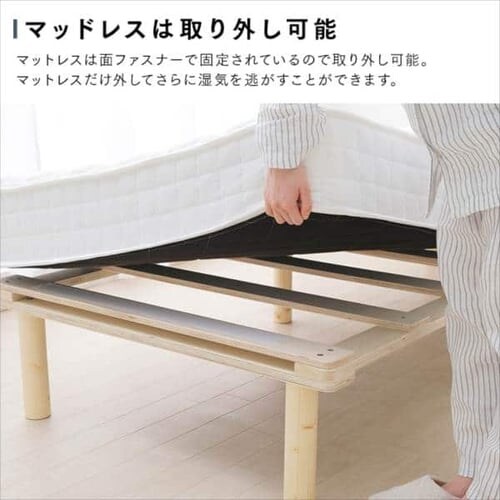 �x�b�h �Z�~�V���O�� �r�t���}�b�g���X �{���l���R�C�� ����19cm AMT-B80 �u���b�N_12