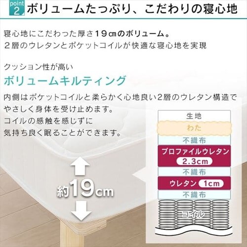 �x�b�h �Z�~�V���O�� �r�t���}�b�g���X �|�P�b�g�R�C�� ����19cm AMT-P80 �A�b�V��_6