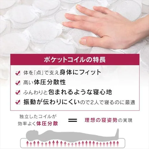 �x�b�h �Z�~�V���O�� �r�t���}�b�g���X �|�P�b�g�R�C�� ����19cm AMT-P80 �A�b�V��_9