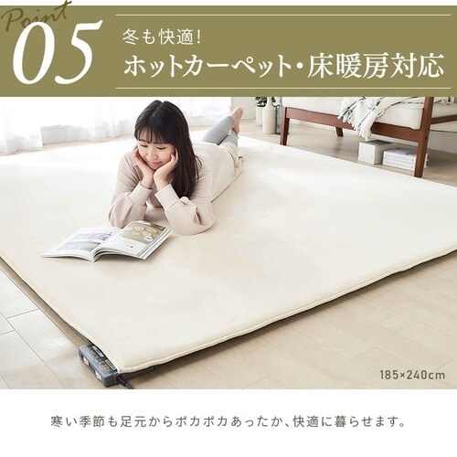 ラグ ラ・クッションラグ マイクロムートンタイプ 185cm×240cm 3畳 厚