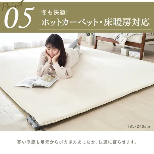 ラグ ラ・クッションラグ マイクロムートンタイプ 185cm×240cm 3畳 厚さ3cm アッシュ ACRM-1824_12