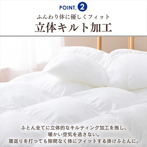 掛け布団 シングル 吸放湿 洗濯可 収納袋付き K574661│アイリス