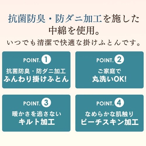 �R�ۖh�L�E�h�_�j �|���ӂƂ� FADAK-S_2