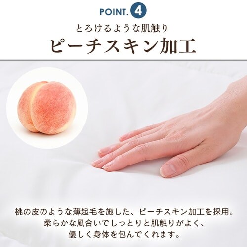 �R�ۖh�L�E�h�_�j �|���ӂƂ� FADAK-S_10