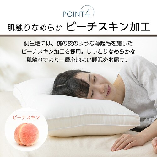 �� ��􂢉� �s�[�`�X�L�����H PT-4060_10