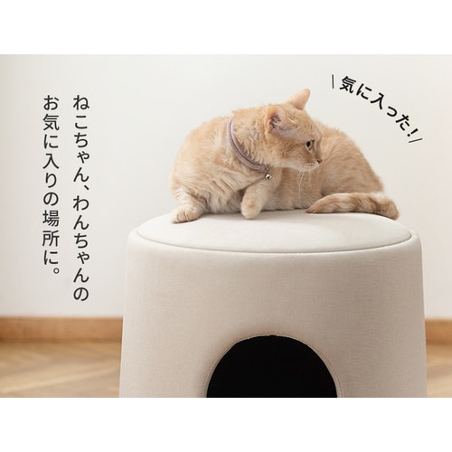 ペットハウス ペットスツール House