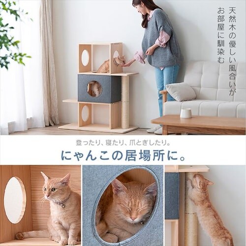 �i�`�������L���b�g�^���[ NCT-3�@3�i_3