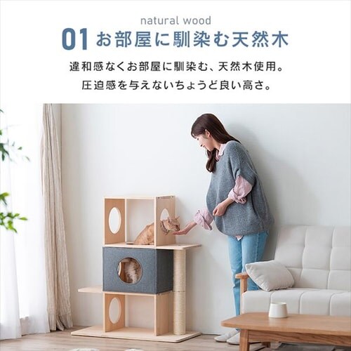 �i�`�������L���b�g�^���[ NCT-3�@3�i_5