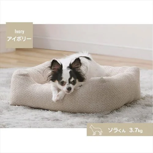 �c�C�[�h�X�^�C���x�b�h P-TB530 �O���[_11