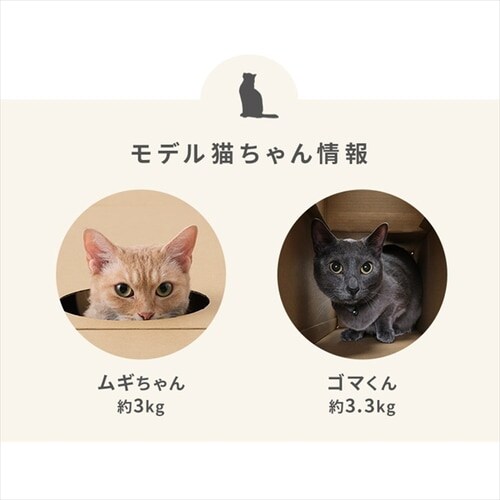 在庫限りイチオシ価格！＞猫用おもちゃ ねこねこトンネル BOX＋T字