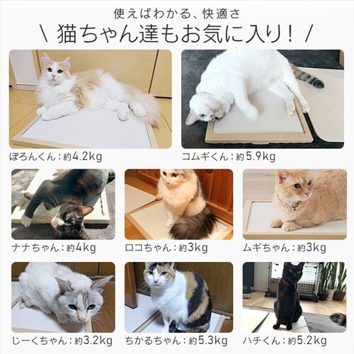 NECOCOCHI ねここち NECOCOCHI NCC-45 ナチュラル P104149│アイリス
