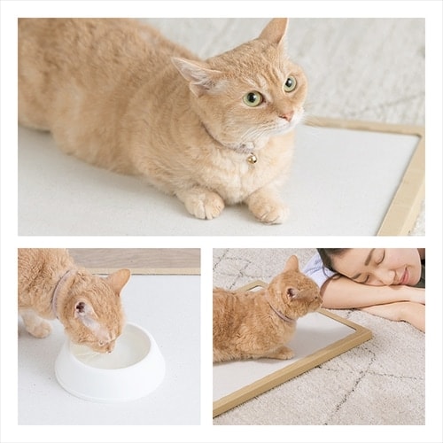 アウトレット品】NECOCOCHI ねここち NECOCOCHI NCC-45 ナチュラル