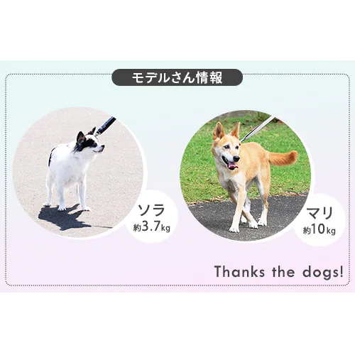 ���p RM�����������[�h RFM-NLC32 �O���[ �U�� �� ���[�h_8