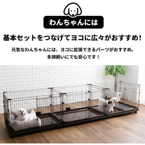 �y�󂠂�z�R���r�l�[�V�����T�[�N�� �ɂ�񂱌���2�i�Z�b�g P-CS-932 �u���E��_13