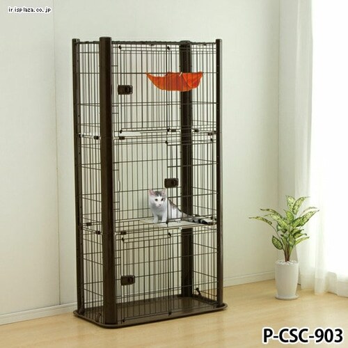 �J���[�X�����P�[�W 3�i P-CSC-903 �u���E�� �L�p_4