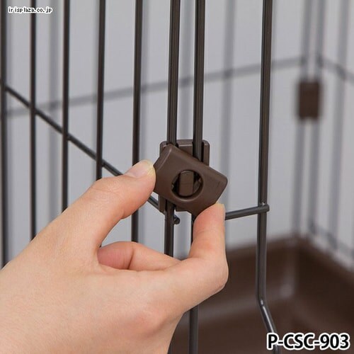 �J���[�X�����P�[�W 3�i P-CSC-903 �u���E�� �L�p_6