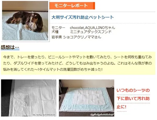 �y8���z ����h�~�y�b�g�V�[�g ���唻�^�C�v_5