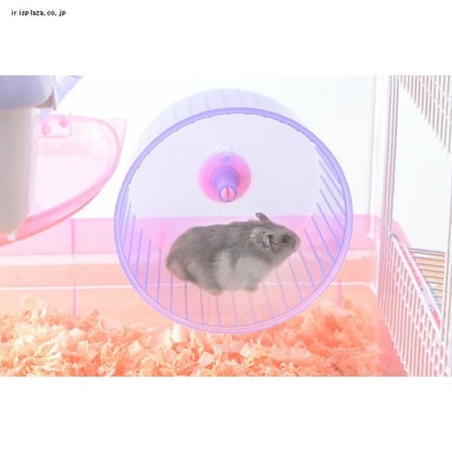 ハムスターケージ 1階建て・広々タイプ PHSC-311 クリアピンク P228198