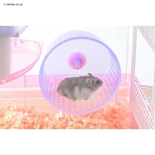 �n���X�^�[�P�[�W 1�K���āE�L�X�^�C�v PHSC-311 �N���A�s���N_17