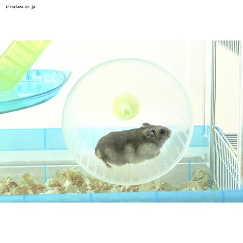 �n���X�^�[�P�[�W 1�K���āE�L�X�^�C�v PHSC-311 �N���A�s���N_18