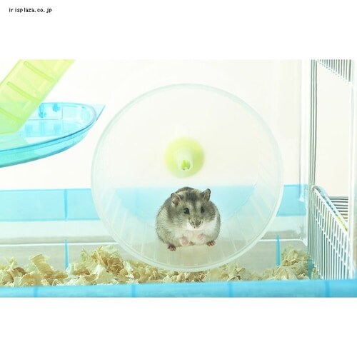 �n���X�^�[�P�[�W 1�K���āE�L�X�^�C�v PHSC-311 �N���A�s���N_19