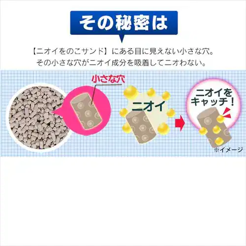 �y�󂠂�z�j�I�C���̂��T���h 5L�@NCS-5L_4