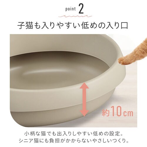 �L�̃g�C�� 390 PNE-390 �~���g�O���[_5