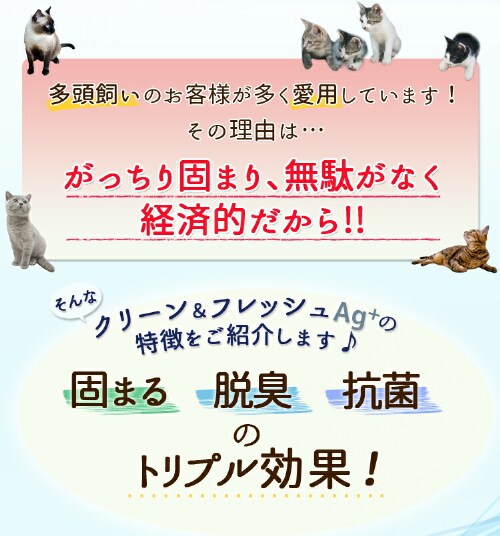 �L�� �N���[�����t���b�V�� Ag+ 8L KFAG-80�z�� �L��_2