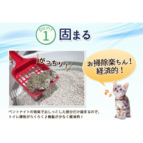 2袋セット】 クリーン＆フレッシュ Ag＋ KFAG-80 8L P315523X