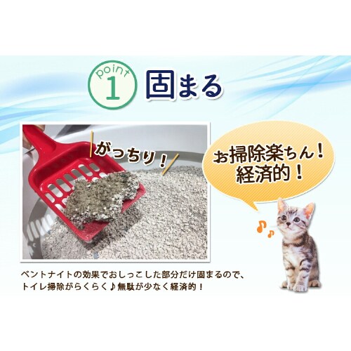 �L�� �N���[�����t���b�V�� Ag+ 8L KFAG-80�z�� �L��_3