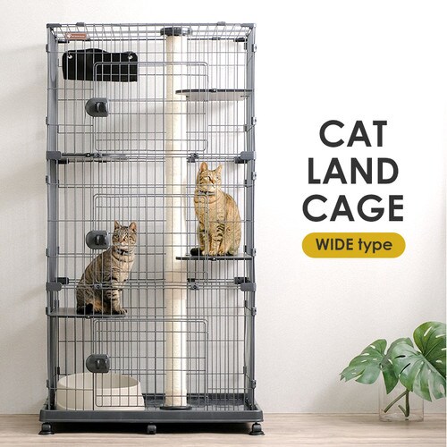 �_�^���[ in �P�[�W�^�L���b�g�����h�P�[�W ���C�h 5�i PCLC-903 �I�t�z���C�g �L���X�^�[�t�� �L �P�[�W_12