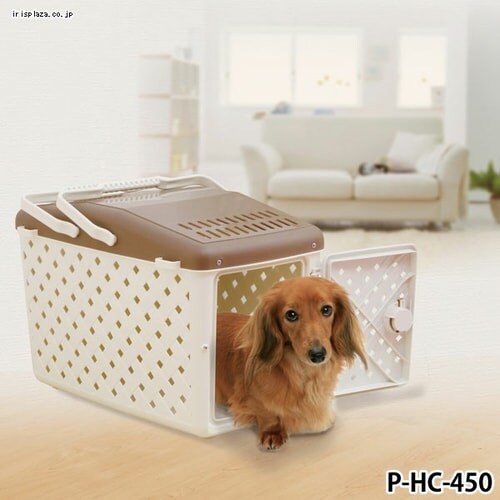 ���ł����L�����[ P-HC-450 �A�C�{���[�^���C�g�s���N�� �L �L�����[_3