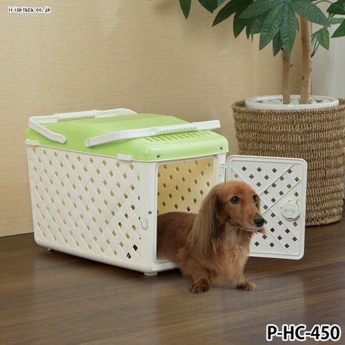 ���ł����L�����[ P-HC-450 �A�C�{���[�^���C�g�s���N�� �L �L�����[_5