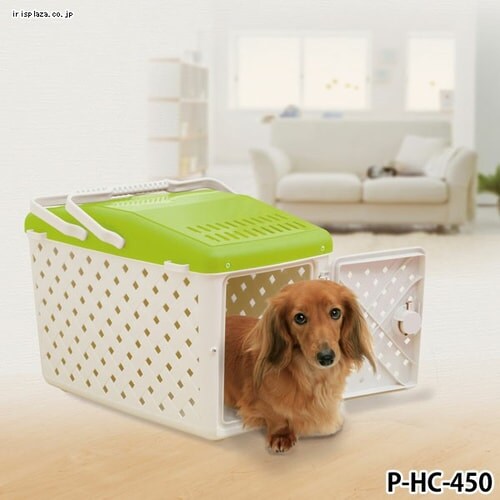 ���ł����L�����[ P-HC-450 �A�C�{���[�^���C�g�s���N�� �L �L�����[_6