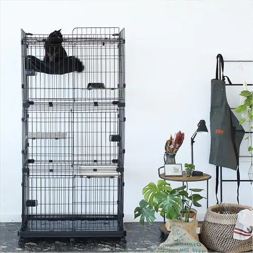 ���[�t�L���b�g�P�[�W ���C�h RFC-904 �A�C�A���u���b�N_17