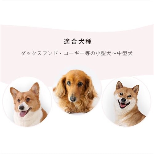 �V�X�e���T�[�N�� STS-1200T �}�b�g�z���C�g_10