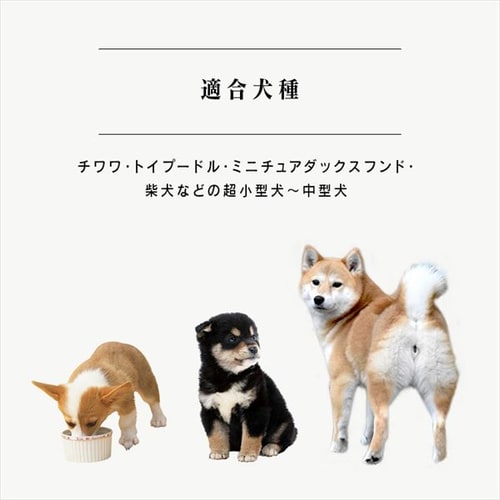 ワイヤーサークル PWC-628 マットブラウン 犬 サークル P283678